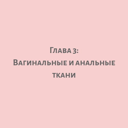 вагинальные и анальные ткани.png