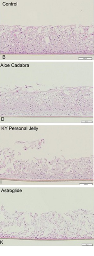 лубриканты, влияние на эпителий.jpg