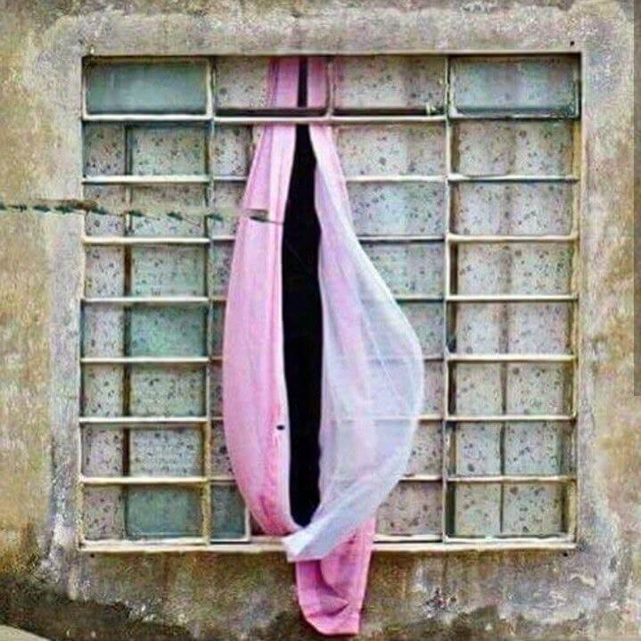 Естественная флора. Почему так важен правильный баланс рН